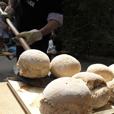 Aralea - Kinderboerderij Mikerf - ambachtelijk gebakken brood